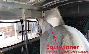 Load image into Gallery viewer, Equiwinner Patches Making Electrolytes Smart