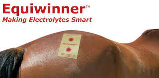 Load image into Gallery viewer, Equiwinner Patches Making Electrolytes Smart