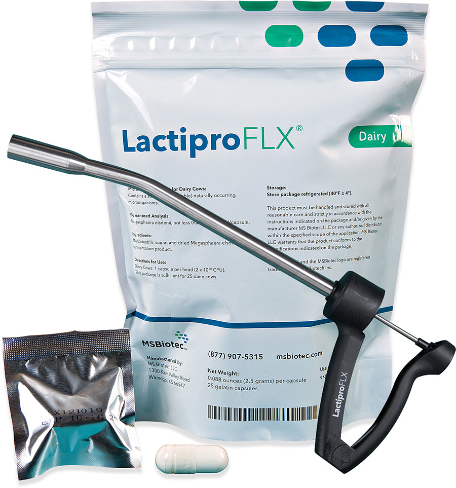 Lactipro Rumen Probiotic Animal Health Express