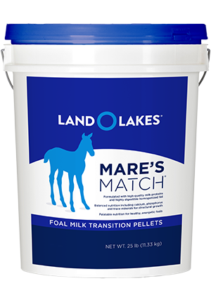 Load image into Gallery viewer, Sav-A-Foal Foal Milk Replacer Mare’s Match Milk Replacer Pellets