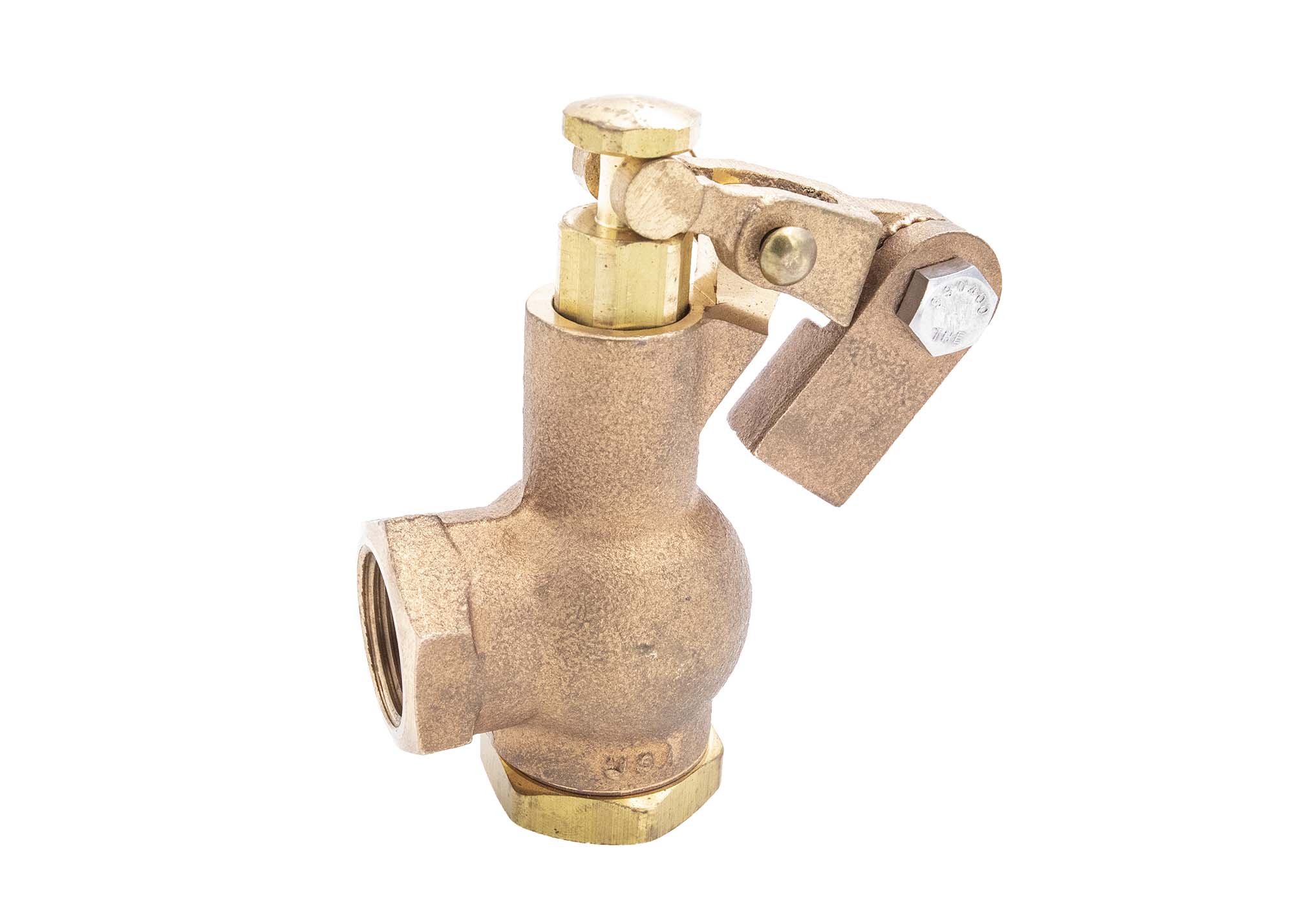 Load image into Gallery viewer, Float Valve - Animal Health Express