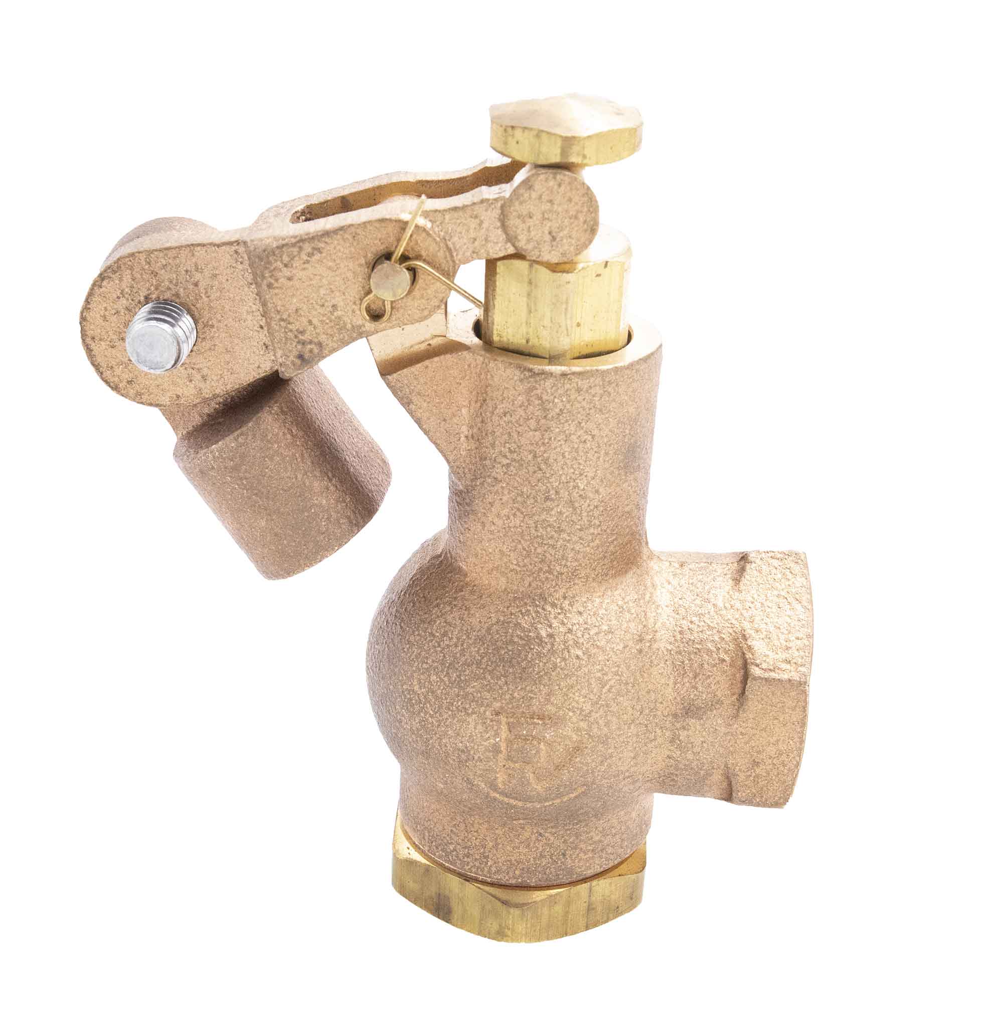 Load image into Gallery viewer, Float Valve - Animal Health Express