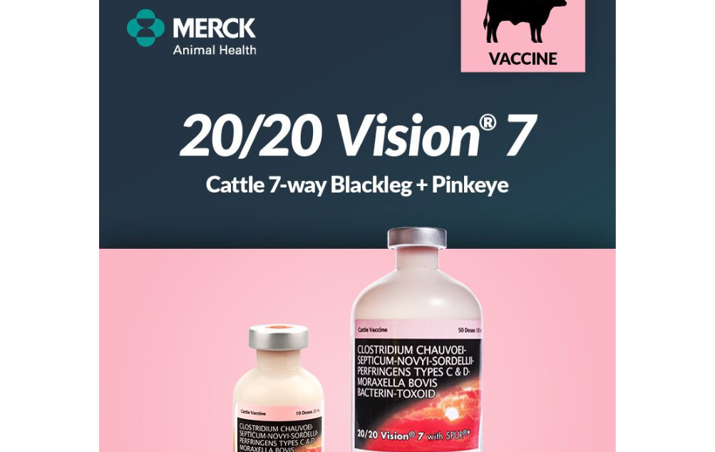 Load image into Gallery viewer, Merck Vision 7 20/20