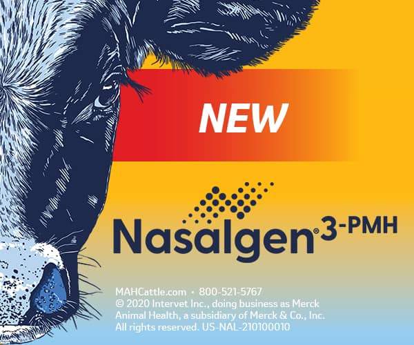 Load image into Gallery viewer, Merck Nasalgen 3