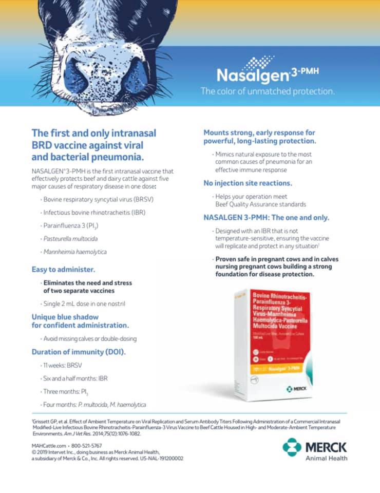 Load image into Gallery viewer, Merck Nasalgen 3
