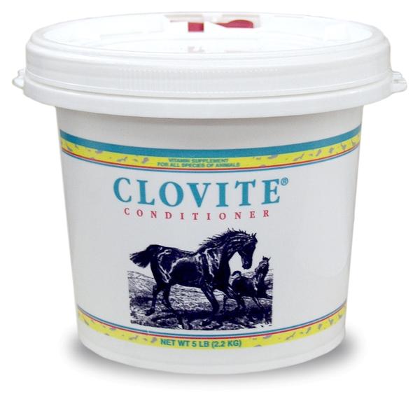 Load image into Gallery viewer, Clovite Conditioner - Animal Health Express
