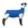 Load image into Gallery viewer, Showpro Outfitting Champs Lamb Tube - Animal Health Express