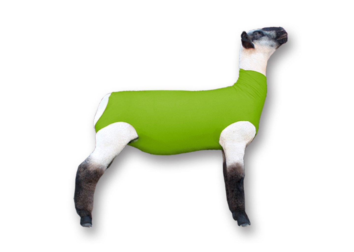 Load image into Gallery viewer, Showpro Outfitting Champs Lamb Tube - Animal Health Express