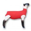 Load image into Gallery viewer, Showpro Outfitting Champs Lamb Tube - Animal Health Express