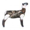 Load image into Gallery viewer, Showpro Outfitting Champs Lamb Tube - Animal Health Express