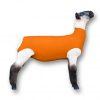 Load image into Gallery viewer, Showpro Outfitting Champs Lamb Tube - Animal Health Express