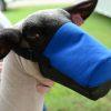 Load image into Gallery viewer, Show Pro Outfitting Champions Deluxe Sheep Muzzle with Spandex - Animal Health Express