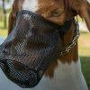 Load image into Gallery viewer, Show Pro Outfitting Champions Deluxe Sheep Muzzle with Spandex - Animal Health Express