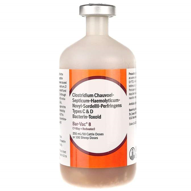 BarVac 8 Cattle Vaccine Animal Health Express