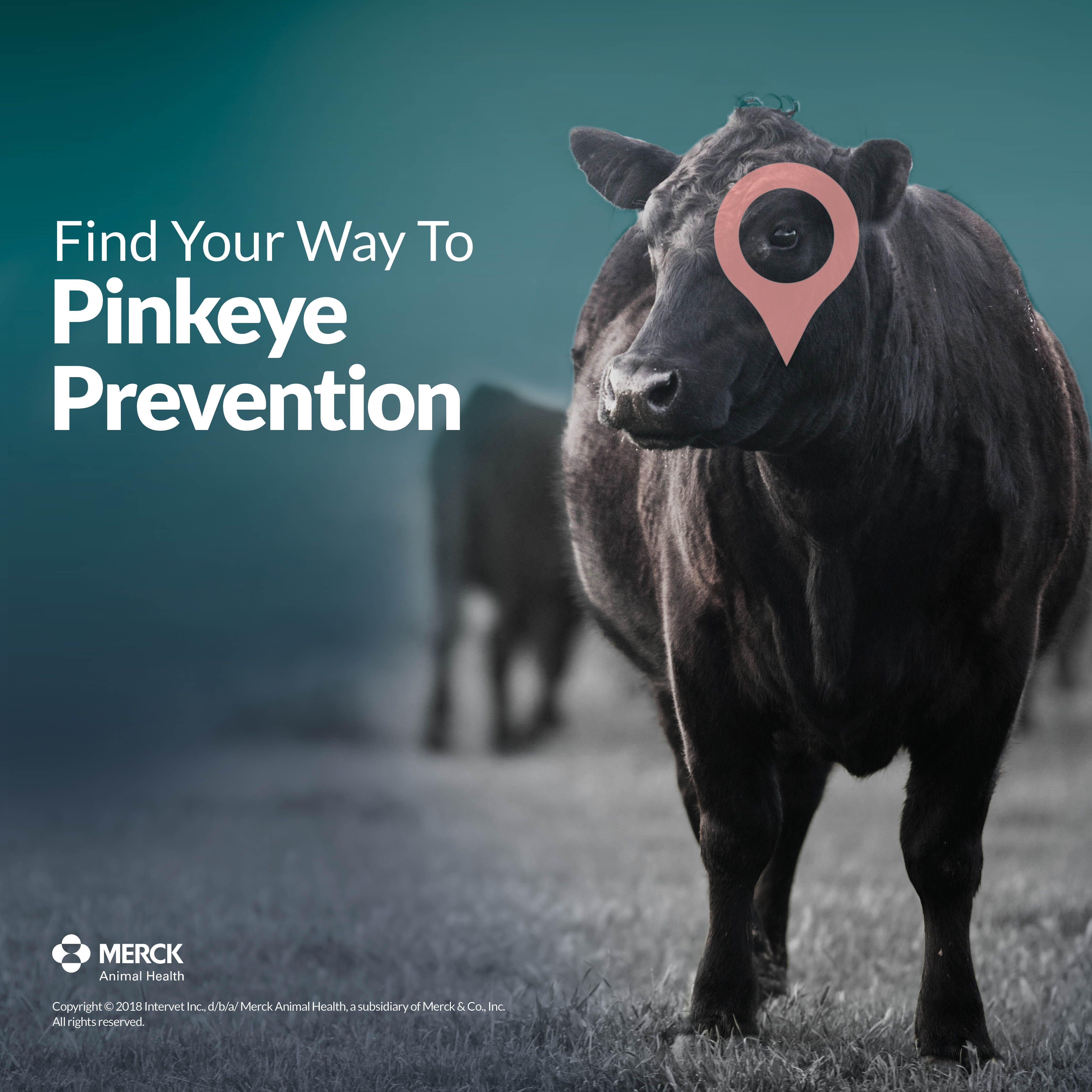 Load image into Gallery viewer, 20/20 Vision 7 - Animal Health Express