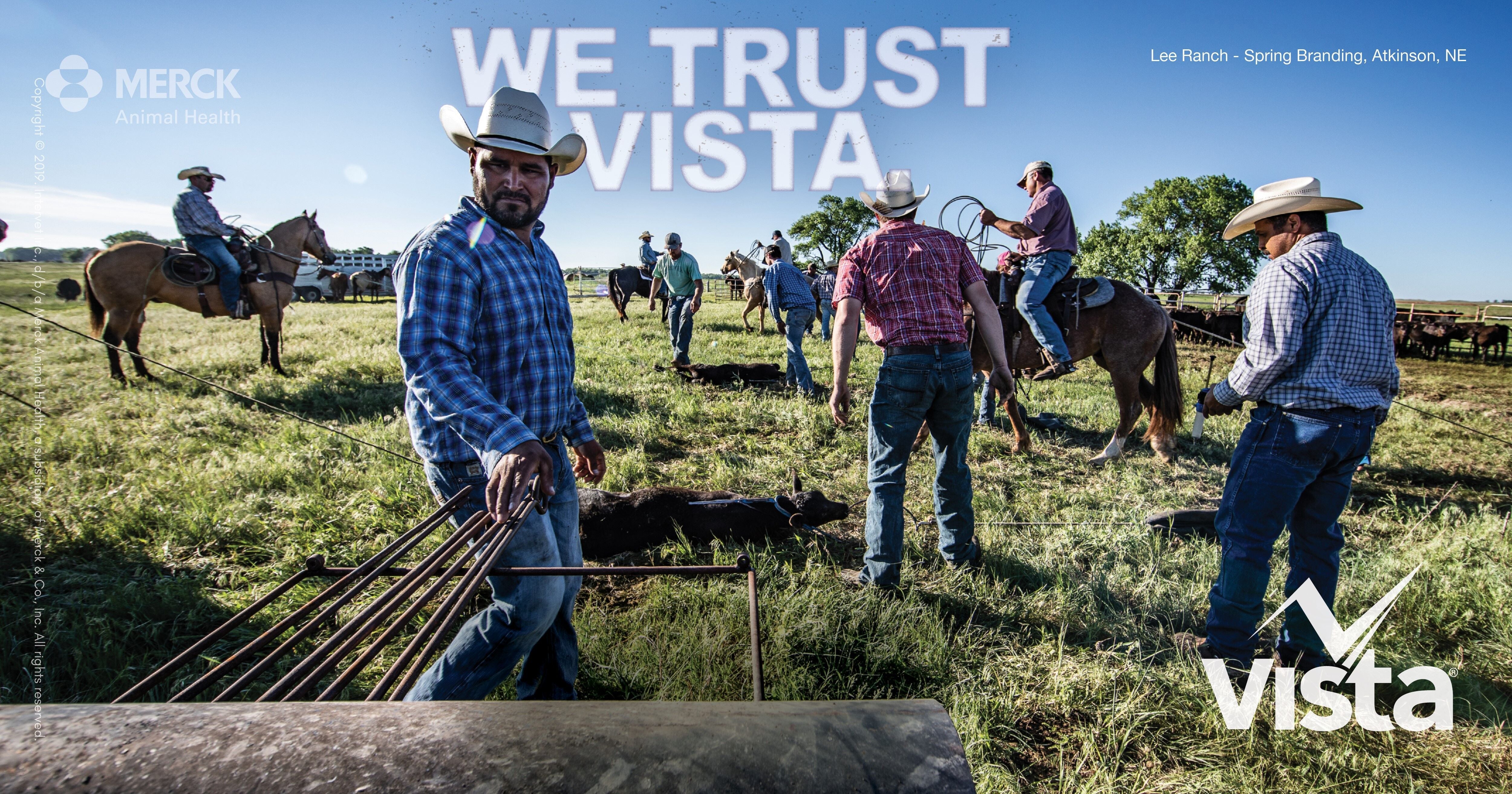 Load image into Gallery viewer, VISTA 5 SQ - Animal Health Express