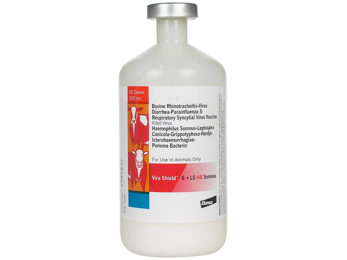 Vira Shield 6 L5 HB Somnus – Animal Health Express
