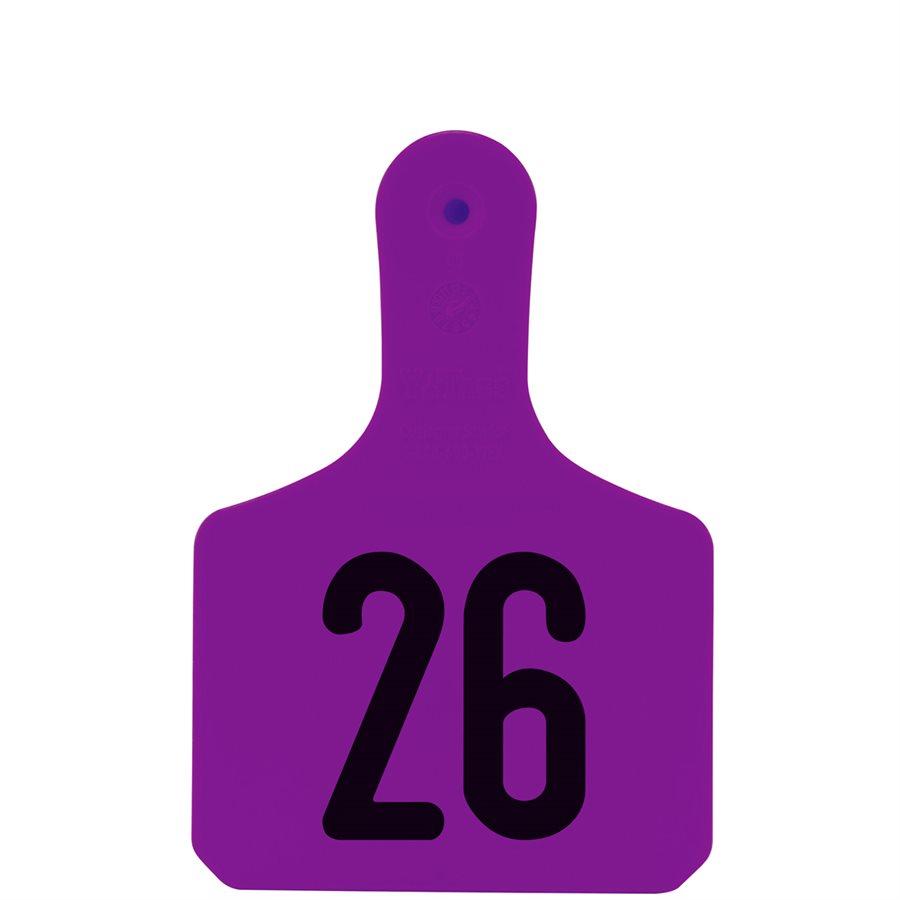 Load image into Gallery viewer, Y-Tex Y-Tag Calf Size Tag - Multiple Colors & Sizes - Animal Health Express