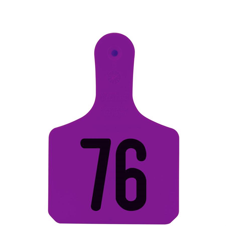 Load image into Gallery viewer, Y-Tex Y-Tag Calf Size Tag - Multiple Colors & Sizes - Animal Health Express