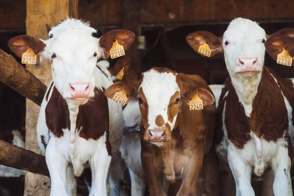 Advantages of Tissue Sampling (TSU)