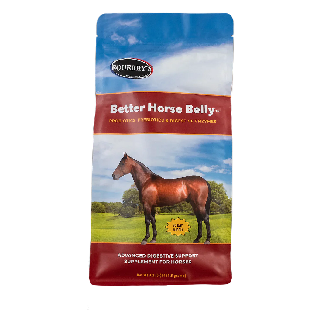 Equerry's Better Horse Belly