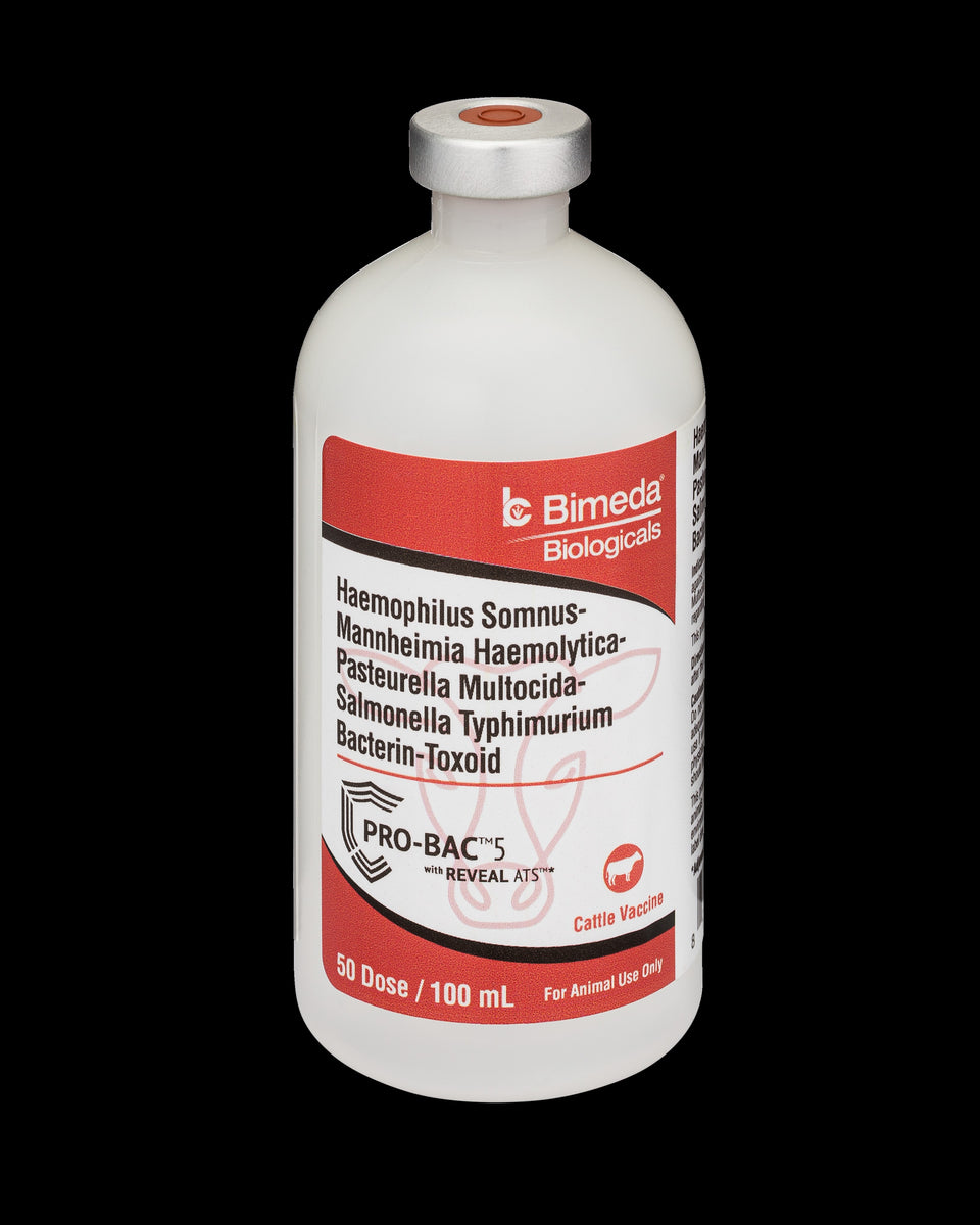 ProBac 5 Cattle Vaccine – Animal Health Express