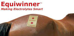 Equiwinner Patches Making Electrolytes Smart