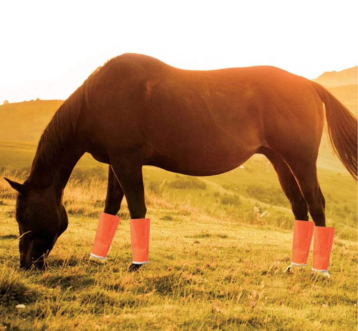 Load image into Gallery viewer, Shoofly Horse Legins Fly Protection