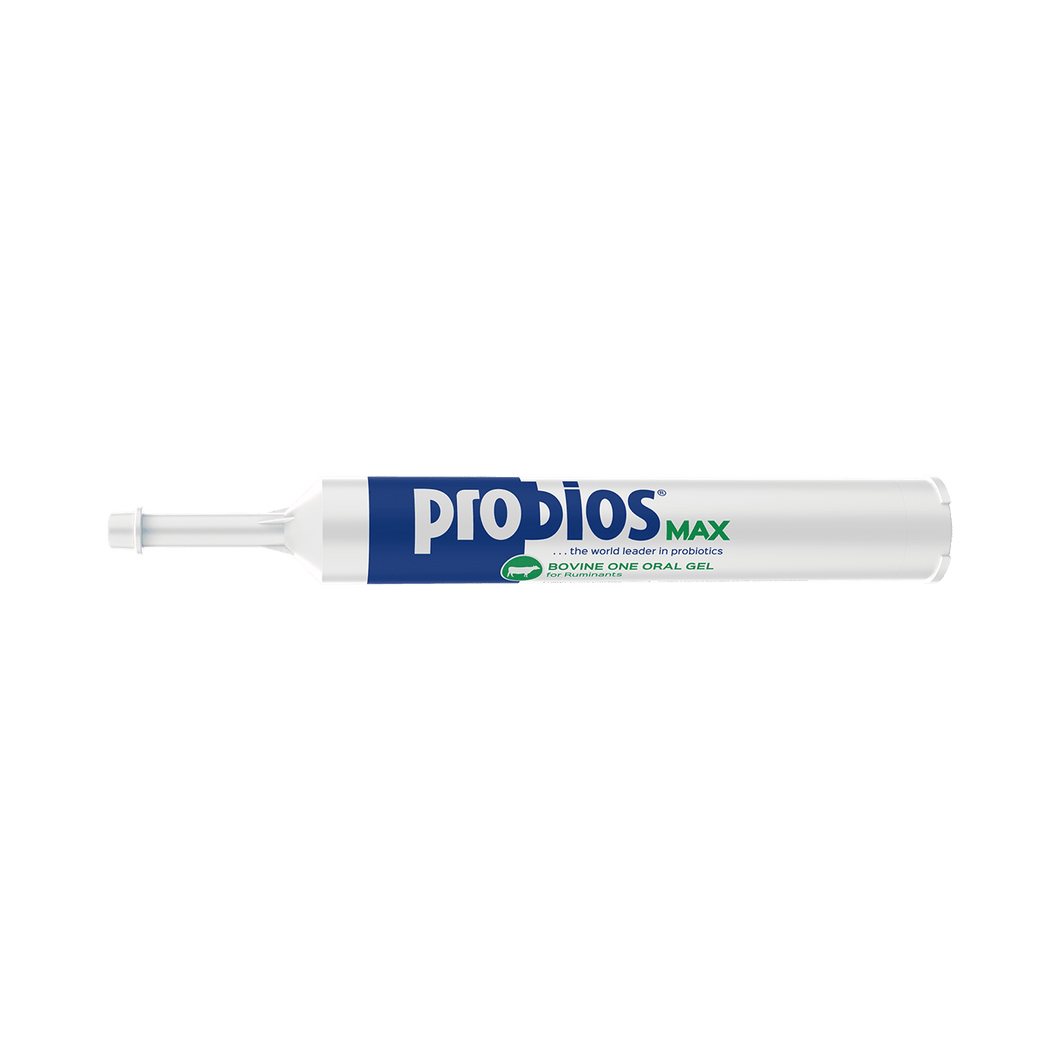 Probios Max Bovine One Oral Gel