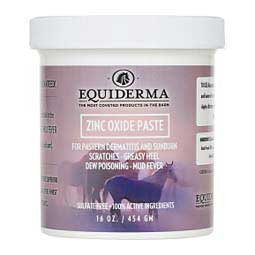 Equiderma Zinc Oxide Paste by Equiderma