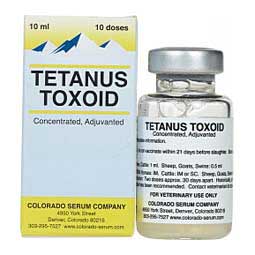 TETANUS TOXOID VACCINE