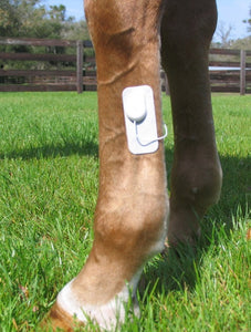 Equine Microcurrent Therapy by Microlief