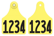 Allflex Global Large ID Calf Two-Piece Ear Tags - Multiple Colors & Sizes