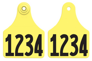 Allflex Global Large Two-Piece Ear Tags - Multiple Colors & Sizes - Animal Health Express