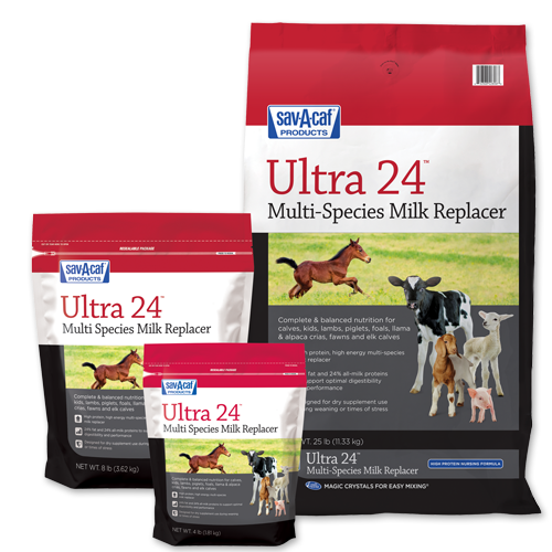 Sav A Caf Ultra 24 Multi Species Milk Replacer Animal Health Express