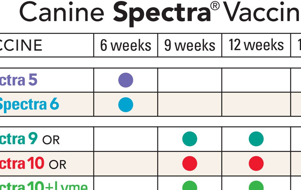Canine Spectra Dog And Puppy Vaccines Animal Health Express Canine spectra dog and puppy vaccines animal health express
