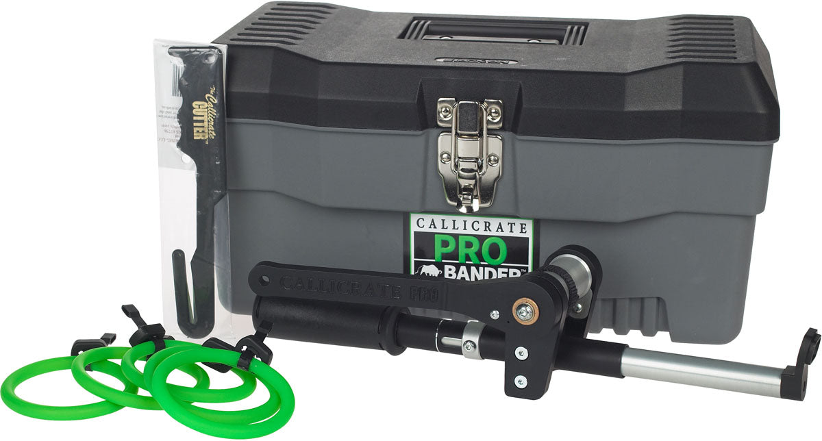 Humane Bull Castration Tool | Callicrate PRO Bander – Animal Health Express