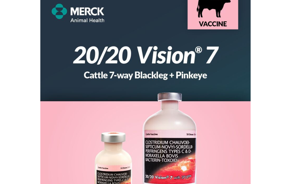 Load image into Gallery viewer, Merck 20/20 Vision 7