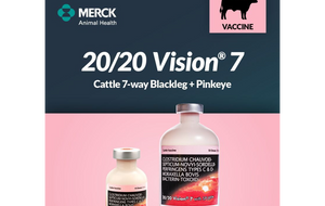 Merck 20/20 Vision 7