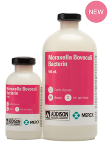 Merck Moraxella Bovoculi Bacterin Pinkeye Vaccine for Cattle