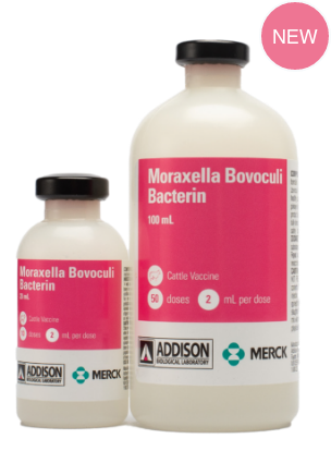 Merck Moraxella Bovoculi Bacterin Pinkeye Vaccine for Cattle