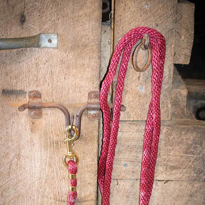 Load image into Gallery viewer, Partrade 9&#39; Poly Lead Rope