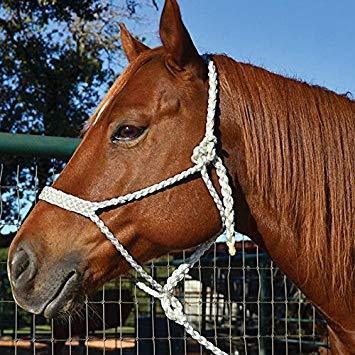 Professional's Choice Cowboy White Mule Tape Halter - Animal Health Express