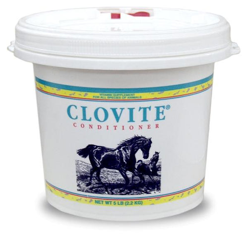 Clovite Conditioner - Animal Health Express