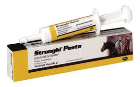 Strongid Paste Wormer - Animal Health Express