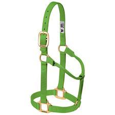 Load image into Gallery viewer, Weaver Leather Non-Adjustable Nylon Halter Weanling/Pony