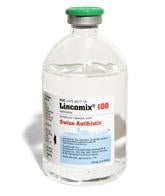 Lincomycin Injectable - Animal Health Express