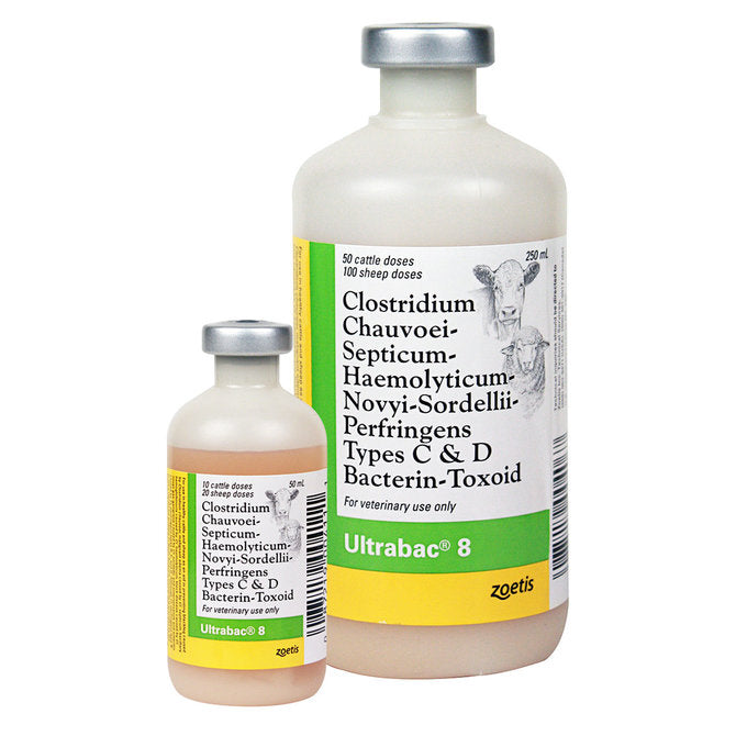 Ultrabac 8 Bacterin Toxoid for Clostridium Perfringens - Animal Health Express