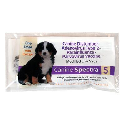 Canine Spectra Dog and Puppy Vaccines - Animal Health Express