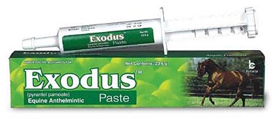 Exodus Paste - Animal Health Express